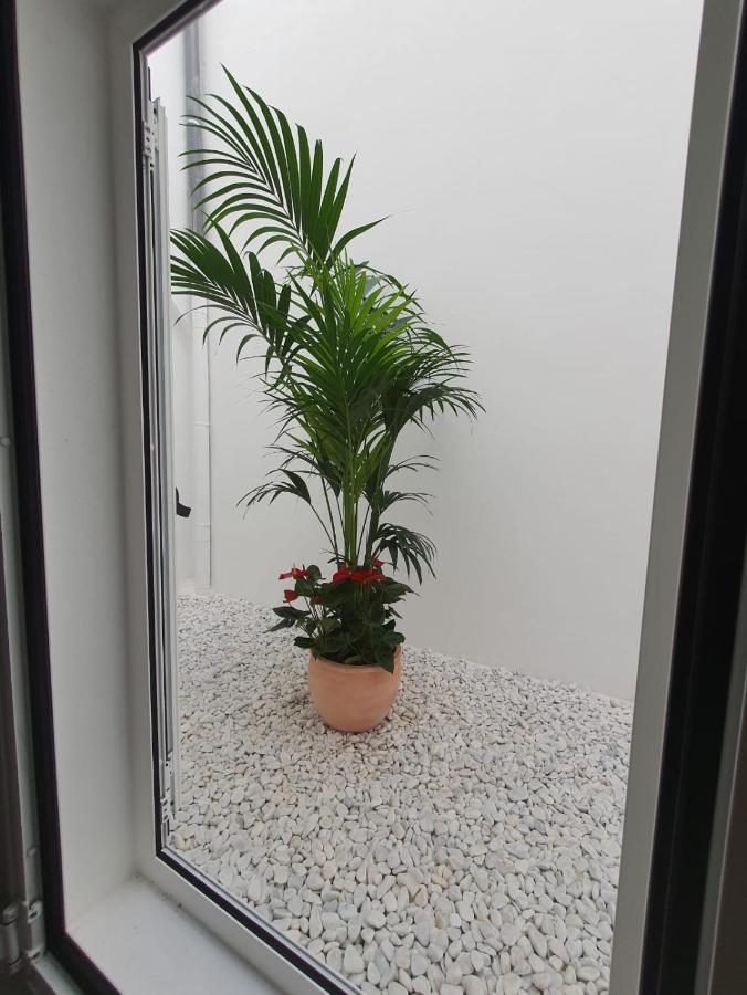 Apartment Agaete Pueblo N11