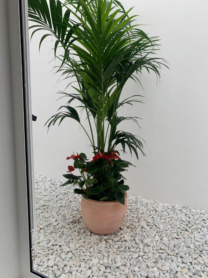 Agaete Pueblo N11 Appartement